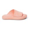 Ferindo.shop1b67bcff75 1