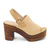 Ferindo.shop3a5a15b9a8 1