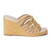 Ferindo.shop3c147934d4 1