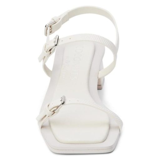 Ferindo.shop4911ab60db 4