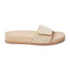 Ferindo.shop4db7d331a6 1