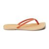 Ferindo.shop4e054430e6 1