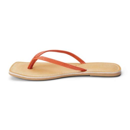 Ferindo.shop4e054430e6 2