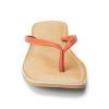 Ferindo.shop4e054430e6 4