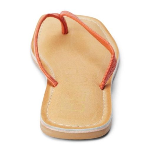 Ferindo.shop4e054430e6 5