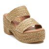 Ferindo.shop657a8eb325 4