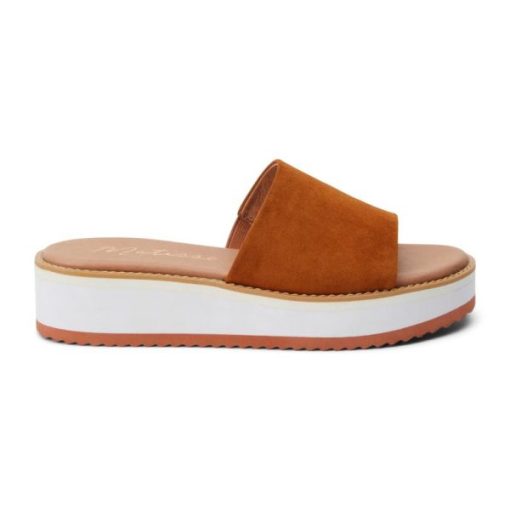 Ferindo.shop8c02956284 1