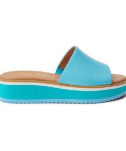 Ferindo.shop8d522ea90e 1