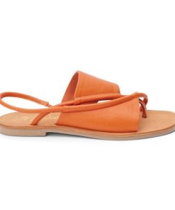 Ferindo.shop9b3d8ec82b 1