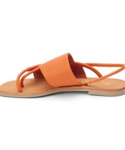 Ferindo.shop9b3d8ec82b 2