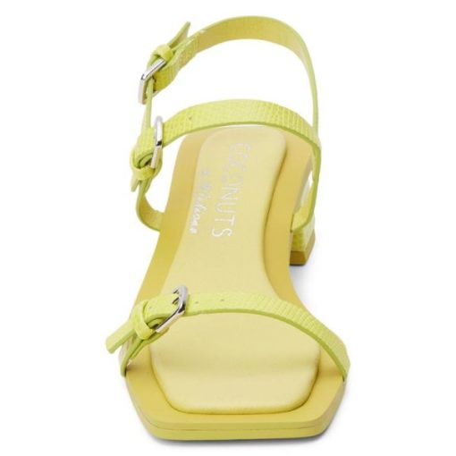 Ferindo.shopa80f31c808 5