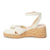 Ferindo.shopb7312406f9 2