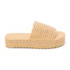Ferindo.shope6f93a3a55 1
