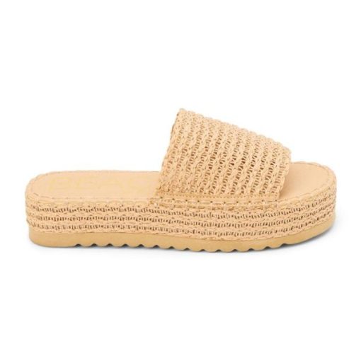 Ferindo.shope6f93a3a55 1