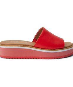 Ferindo.shopeaae411628 1