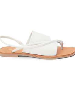 Ferindo.shopf780758938 1
