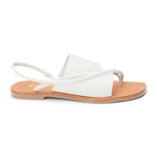 Ferindo.shopf780758938 1