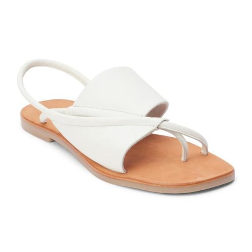 Ferindo.shopf780758938 3