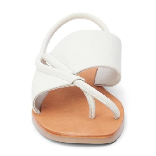 Ferindo.shopf780758938 4
